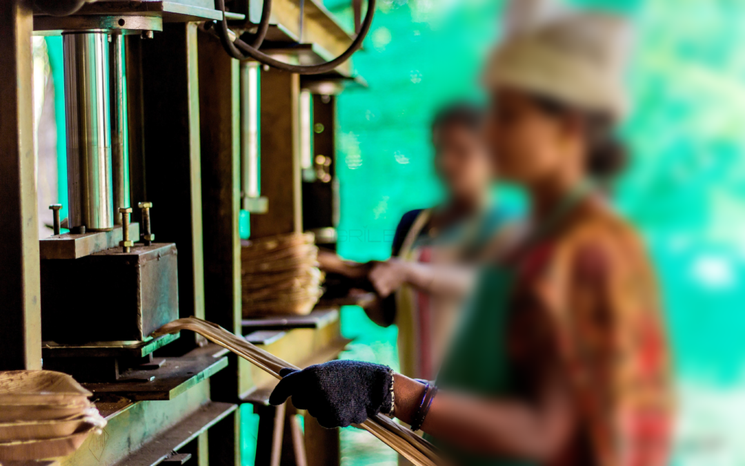 Empowering Rural Women: Agrileaf’s Commitment to Inclusive Growth