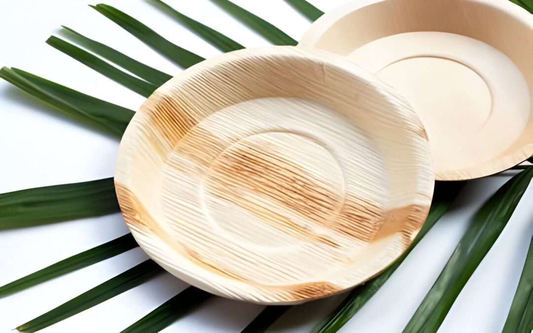 Exploring the Environmental Benefits of Areca Palm Leaf Plates