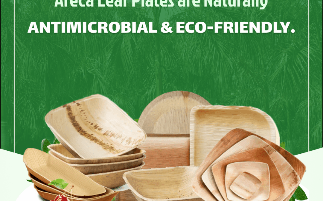 Antimicrobial Properties of Areca Leaf Plates: A Laboratory Study