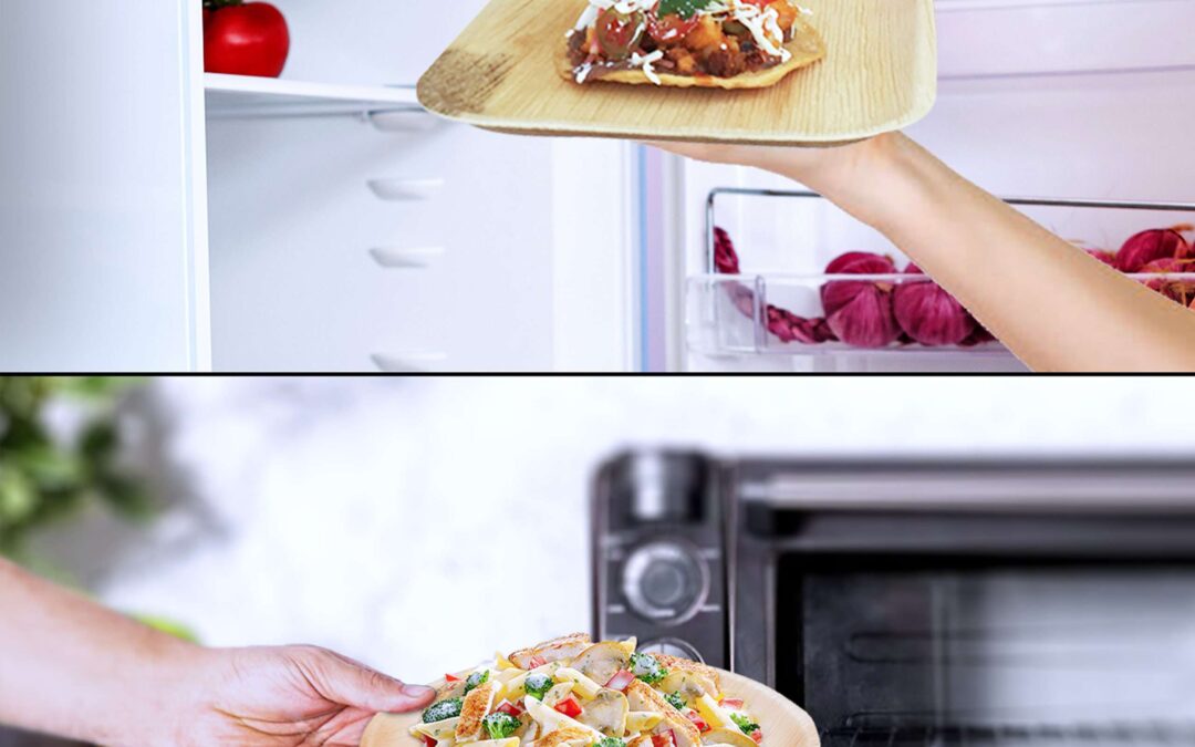 Thermal Resistance and Mechanical Strength of Areca Leaf Plates: A Materials Science Perspective