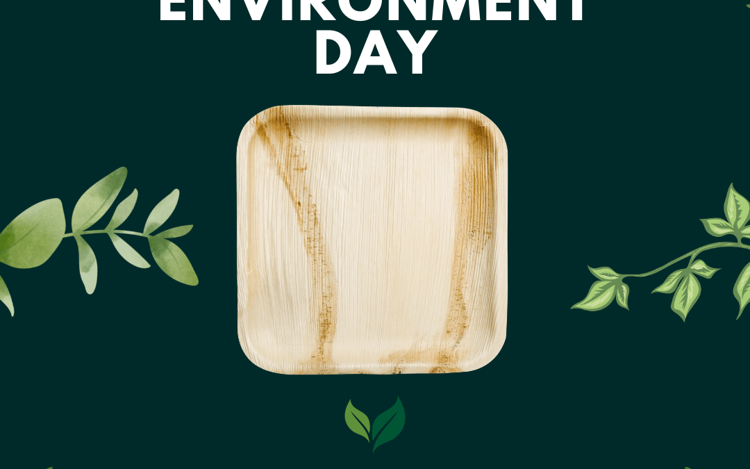 Celebrating World Environment Day: How Agrileaf and Palm Products Contribute to a Greener Planet