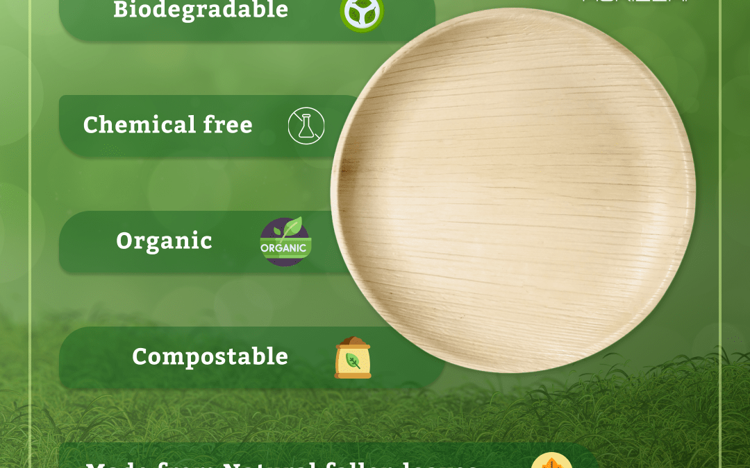 The True Cost of Eco-Friendly Disposable Plates: Are They Worth the Investment?