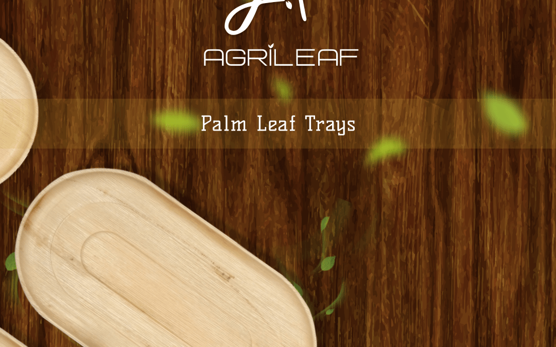 Discover the Benefits of Our 12″x22” Oval Areca Palm Leaf Tray