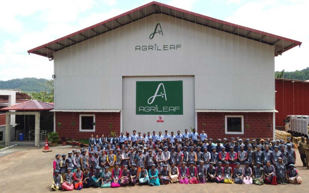From Humble Beginnings to Industry Leader: The Inspiring Journey of Agrileaf