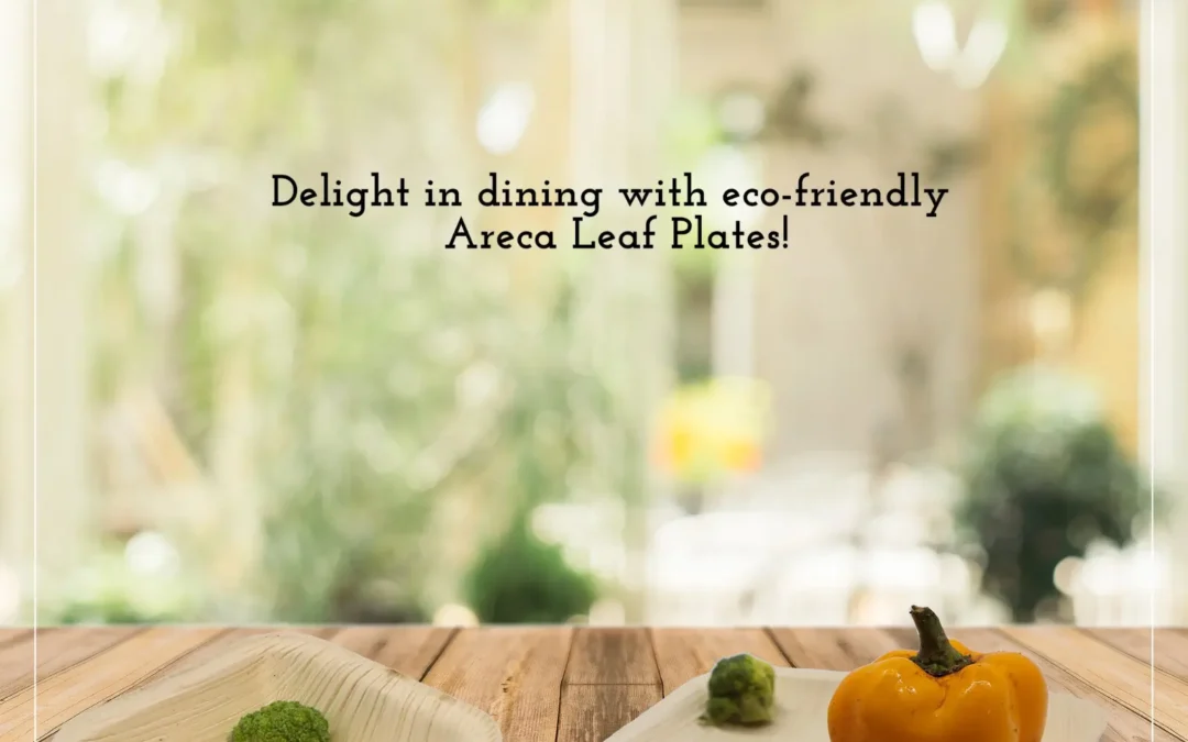 Best Palm Leaf Manufacturer in India: Agrileaf Exports