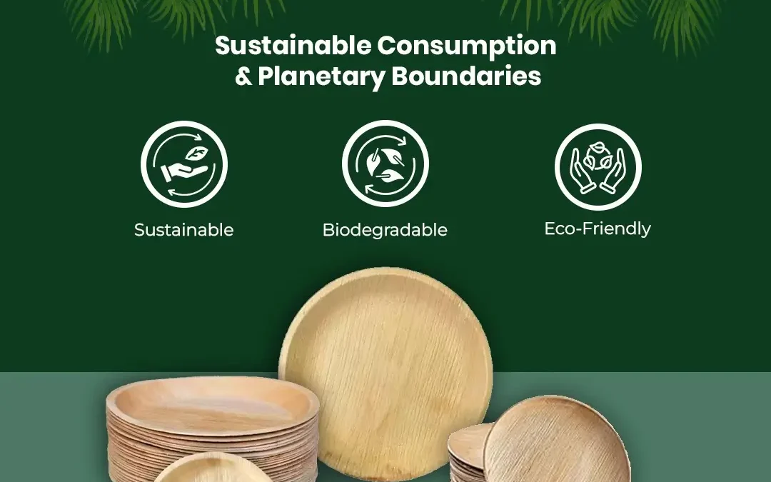 Sustainable Consumption and Planetary Boundaries: How Agrileaf’s Areca Palm Leaf Plates Contribute to a Greener Future