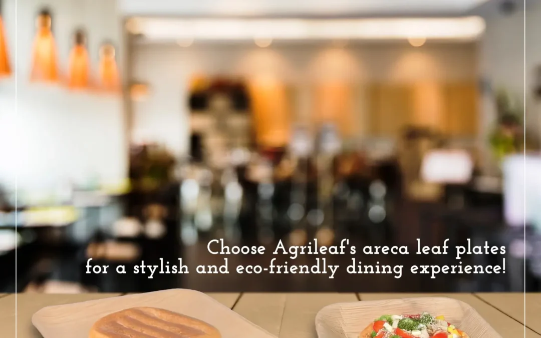 Wholesale Palm Leaf Tableware Suppliers in India: Your Sustainable Solution with Agrileaf