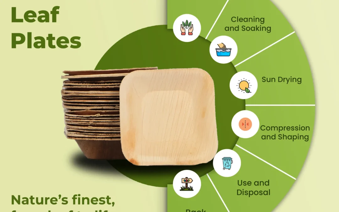 Best Areca Palm Plates