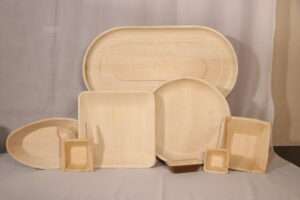 What Are Areca Leaf Plates Used For?