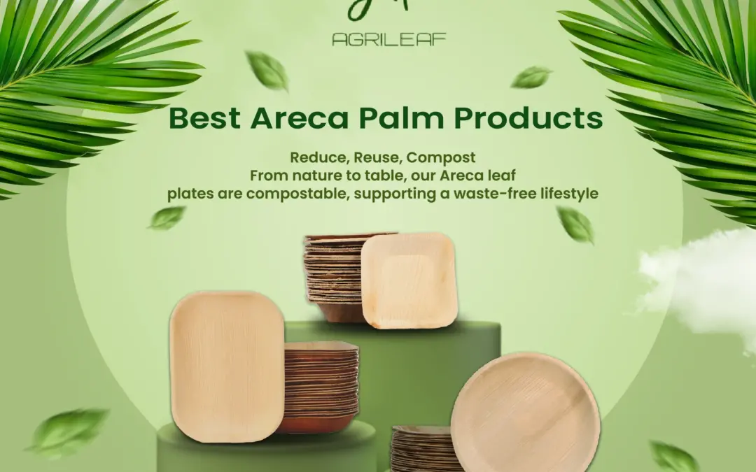 Best Areca Palm Products