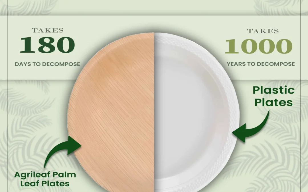 The Leading Areca Leaf Plates Manufacturer in India