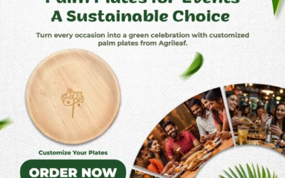 Palm Plates for Events – A Sustainable Choice