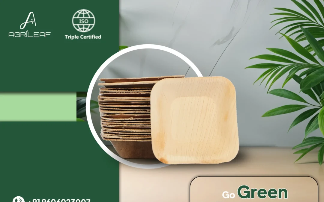 Leading Palm Plates Manufacturer and Exporter from India