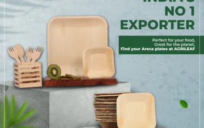 Areca Plates Near Me?