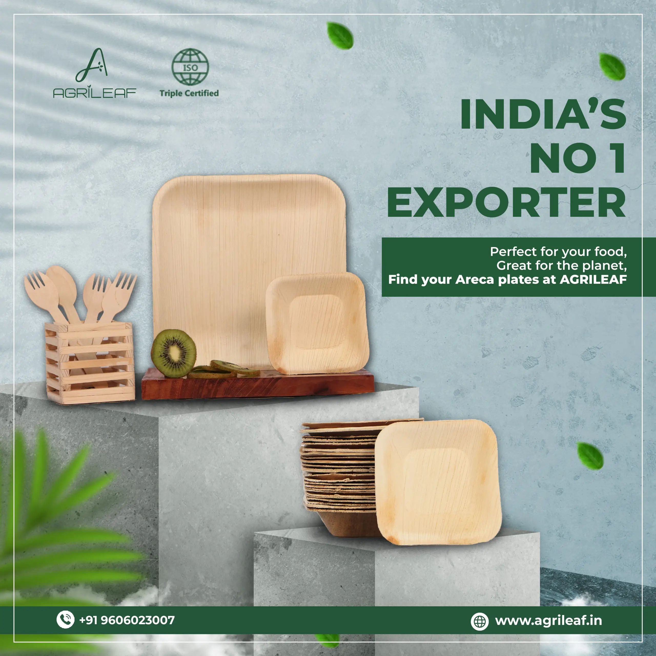 Areca Plates Near me