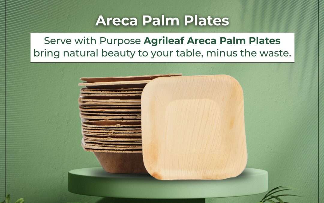 Why Areca Palm Plates Are the Future of Eco-Friendly Dining ?
