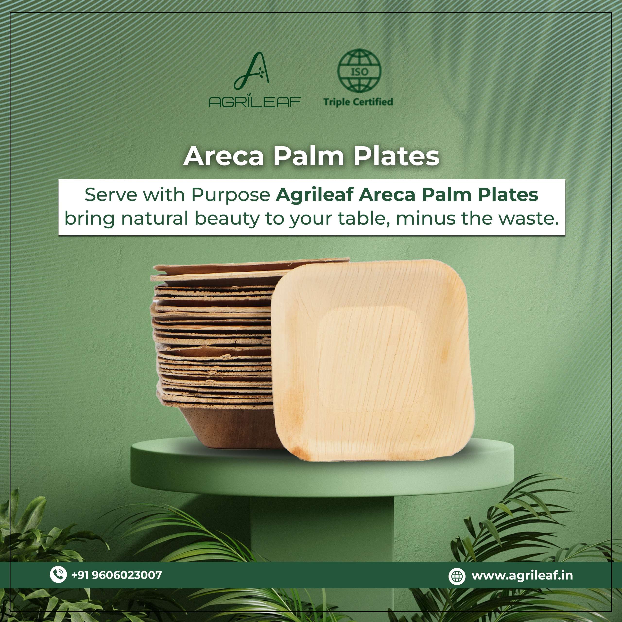 Areca Palm Plates
