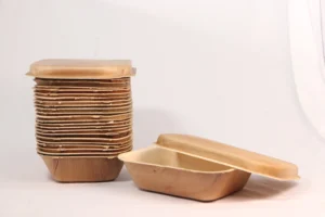 Areca leaf Packaging 
