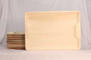 Areca palm leaf tray