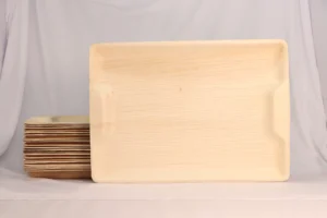 Areca leaf tray