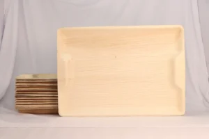 Areca leaf tray