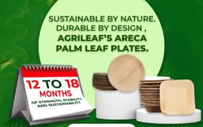 What is the Shelf Life of Areca Palm Plates?
