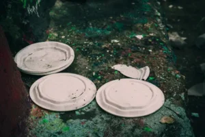 Why Plastic Doesn’t Belong in Nature