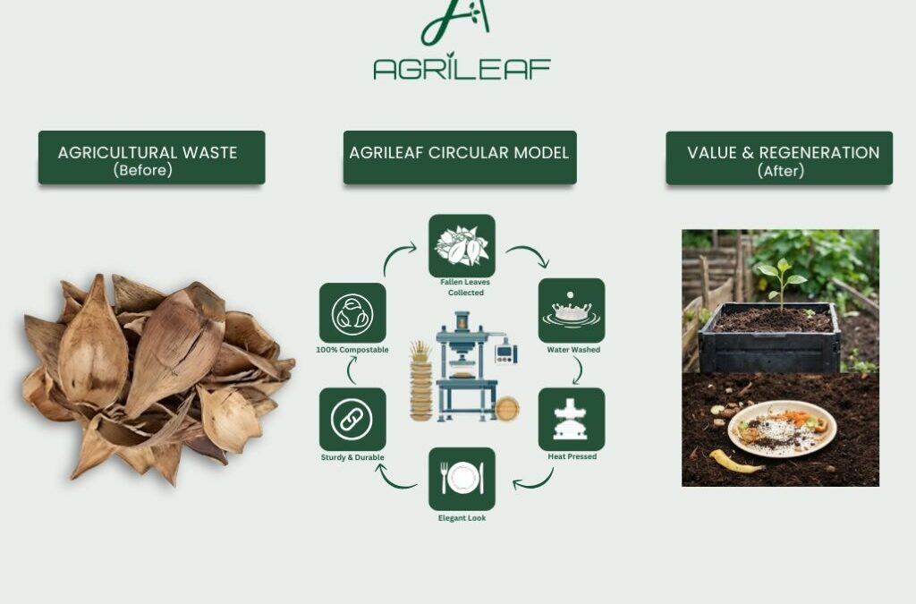 Circular Economy in Action: Turning Agricultural Waste Into Value – The Agrileaf Way